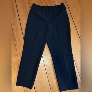 NWT go-stretch pants from universal standard.